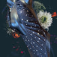 Blossom